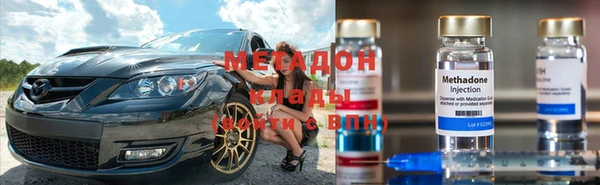 прущие грибы Алзамай