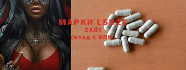 прущие грибы Алзамай
