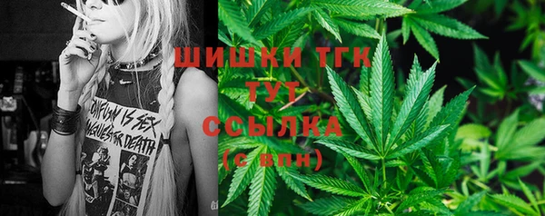прущие грибы Алзамай