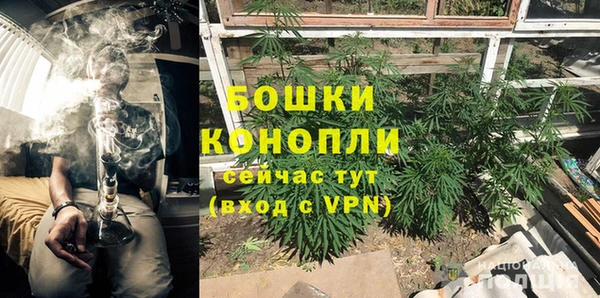 spice Алексин