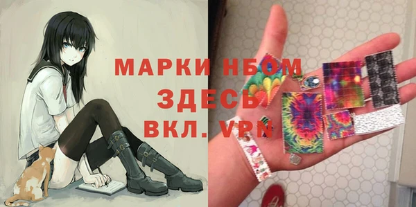 прущие грибы Алзамай