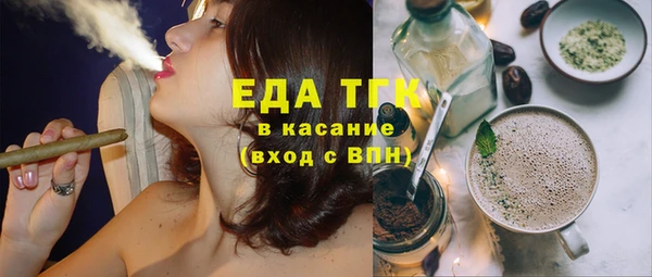 стаф Ельня