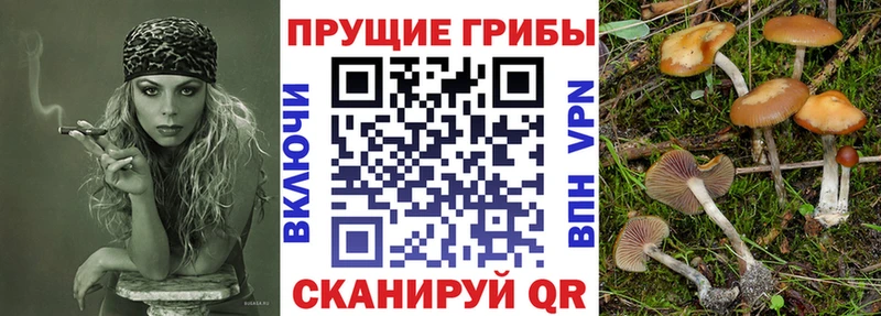 Галлюциногенные грибы Cubensis  Лобня 
