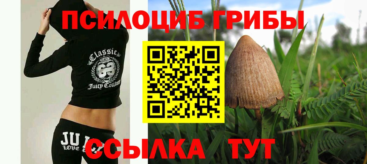 Лобня  Псилоцибиновые грибы Psilocybe  Вход с VPN  дарнет шоп  Псилоцибиновые грибы Psilocybine cubensis 